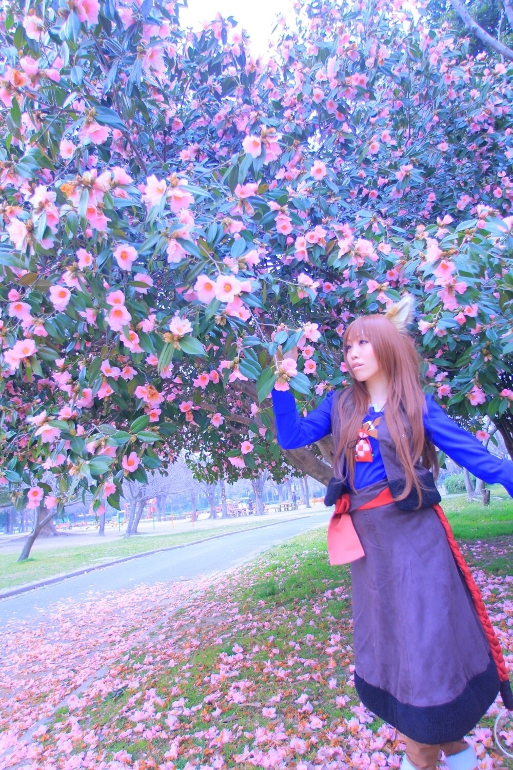 [Cosplay] 2013.04.13 Spice and Wolf Hot Cosplay